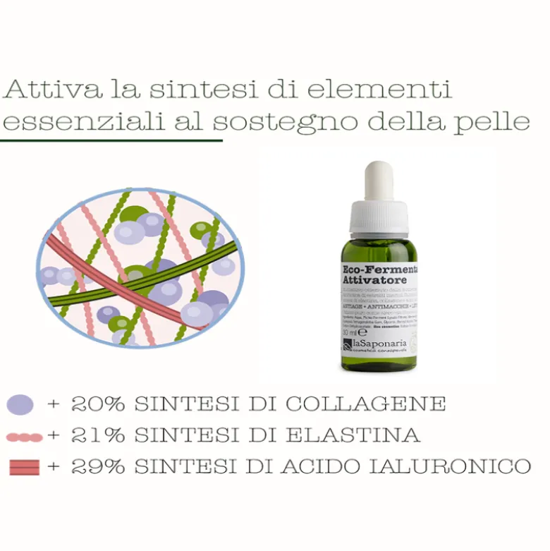 Fermentati Complex