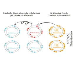 Vitamina C Stabile